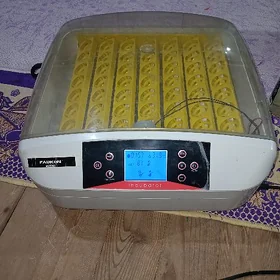 inkubator