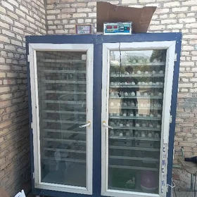 inkubator/инкубатор