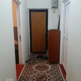 3 kom ARENDA talyp gyz