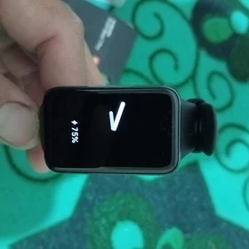 Xiaomi smart band pro