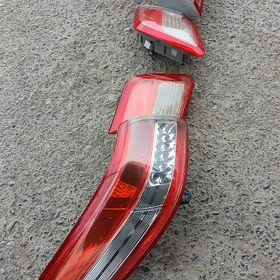 Öküz kelle yzky stopnik