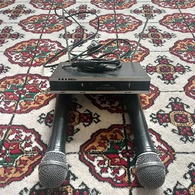 Toy mikrafon