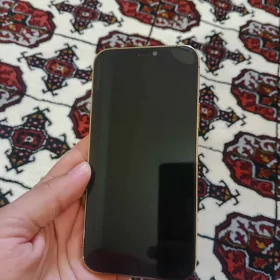 iPhone 12 Pro