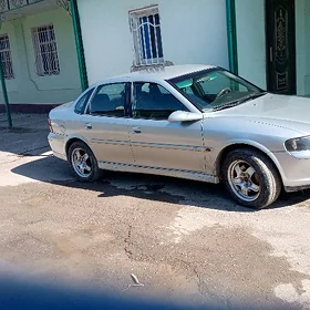 Wektra B