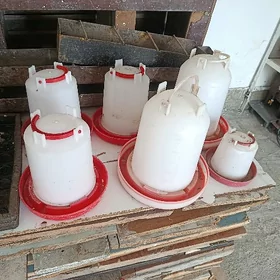 Towuk ucun