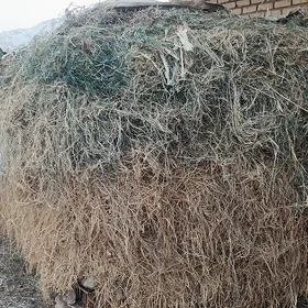 haşal ot