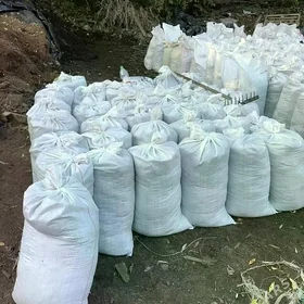 PULPA SEMENT MYTY MITI KERPIÇ