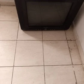 Telewizor