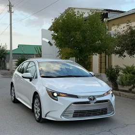 Toyota Corolla 2024