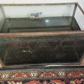 аквариум