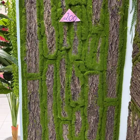 Decor Agac