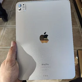 iPad Pro M4