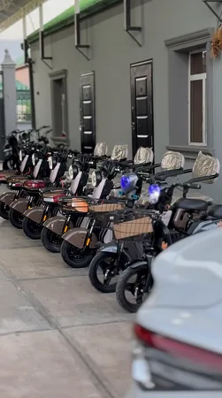 TIGIR SAMAKAT MATOR GONCYK TOK