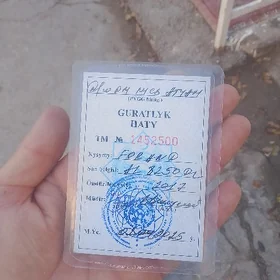 Gurat hat tapyldy