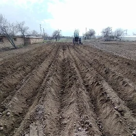 Mellek ýer,Daça,Дача
