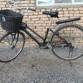 Satlyk 26-lyk welsapet