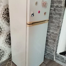 Holodelnik