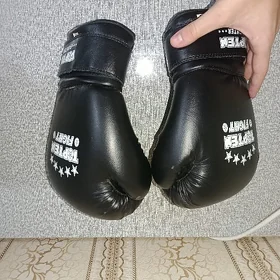 Percatga 12 lik