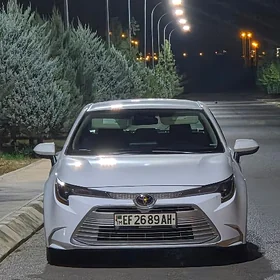 Toyota Corolla 2023