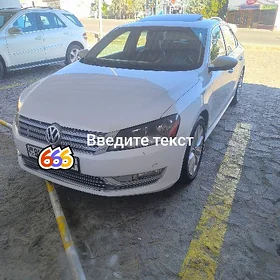 Volkswagen Passat 2012