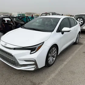Toyota Corolla 2024