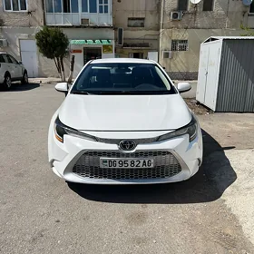 Toyota Corolla 2020