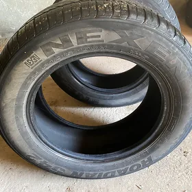 255 60 18