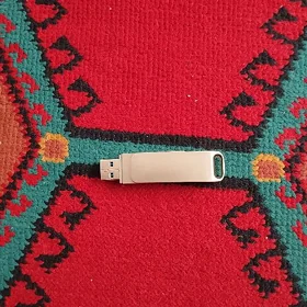 256 gb fleska