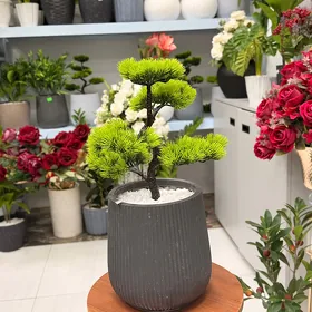 Decor Bansay банзай