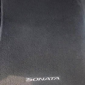 Kowrik 2022 sonata