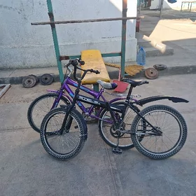 tigir 2si  Ṣtanga
