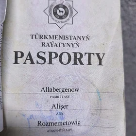 Passport Alişer Allabergenow
