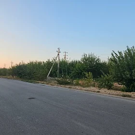 Arenda Ekinlik Ýer.