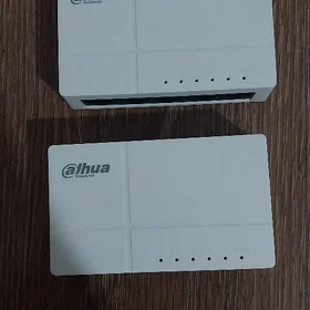 Dahua switch