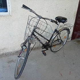 ÝAPOŞGA TIGIR