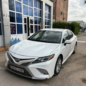 Toyota Camry 2019