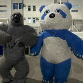Miska satlyk