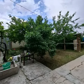 ПЛАНОВЫЙ ДОМ ХИТРОВКА