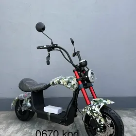 TIGIR MATOR KALYASGA GONCIK