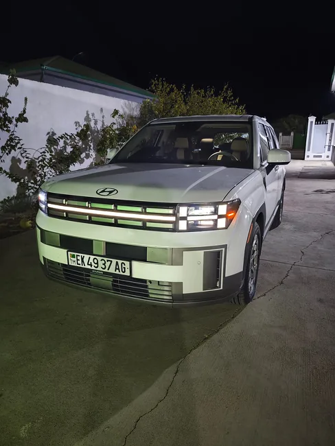 Hyundai Santa Fe 2024 - 1