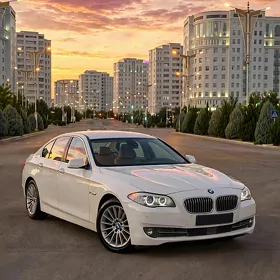 BMW F10 2010