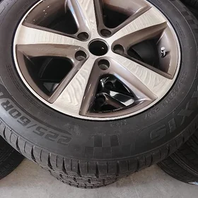 Okuz kelle S klas R16