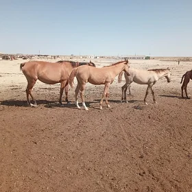 at