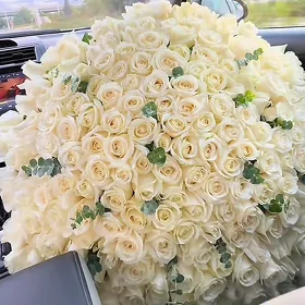 roza gül gul guller buket sowgat Miska Teddy aýy panda pişik dem alya sowgat podarka