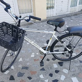 Yapon tigir 28 lik