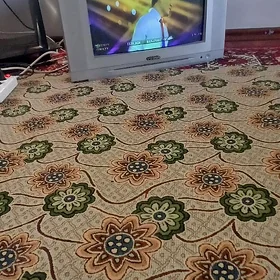 Televizor