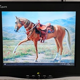 LCD MONITOR  12lik