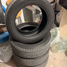 205 55R16 Good Year