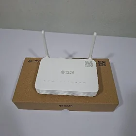 Roulter GPON HUAWEI