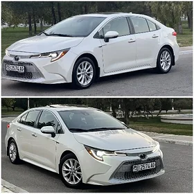 Toyota Corolla 2021